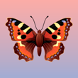 aneykaafonicheva84